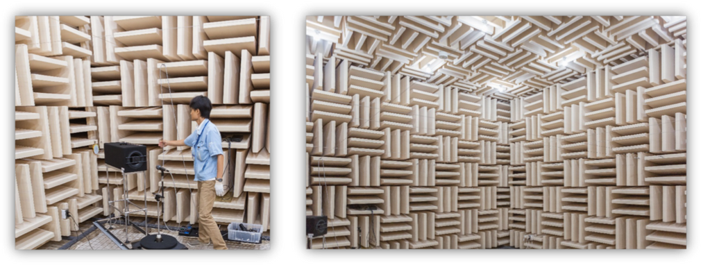 Audio Solutions Question of the Week: What Is an Audio Anechoic Chamber? 